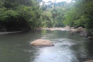 Casita campestre independiente hasta 4 personas - Villeta - 8