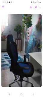 Peacock room - Zemun - 5