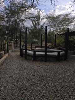 Lillypond Camp - Elmenteita - 1
