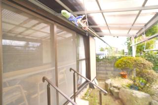 AKARIYA別館 ~横山邸~ - 1