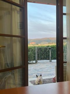 RELAX IN TUSCANY - Pieve di Santa Luce - 3