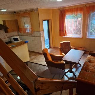 Ośrodek Wypoczynkowy Puszczyk Domek Akacjowy- Apartament -Willa - Sieraków - 1
