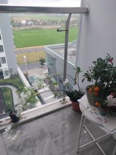 Tom appartment gym and pool free, Hue - 8