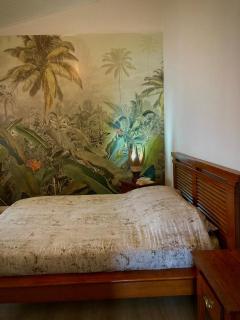 Les capucines du volcan Plaine des cafres - 5