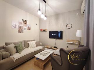 Vlada apartmani - Vrnjačka Banja - 8