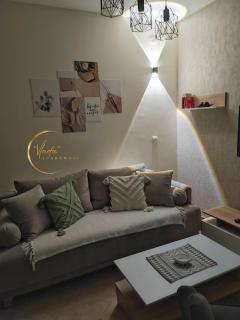 Vlada apartmani - Vrnjačka Banja - 5