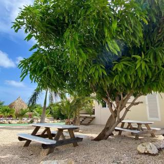 Vakantiehuisje Curacao-Casa Pura Vida - Willemstad - 4