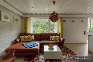 Rurtal de luxe - Simmerath - 1