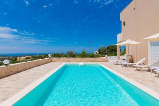 Domas Blue Studio Villa With Private Pool and Panoramic View - Loutra - 9