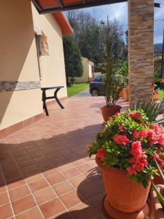 The House of Citrus - amazing country house near Viareggio beach and Lucca - Stiava - 9