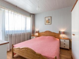 Appartement 2 pièces, 4 couchages, proche centre station, WIFI - FR-1-304-46 - La Clusaz - 8