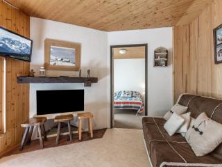 Accès direct aux pistes, confortable 3 pièces, animaux admis - FR-1-304-151 - La Clusaz - 5