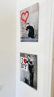Les chats maison - Anzio - 3