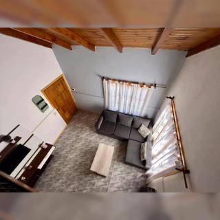 Eucalipto Tempo - Esquel - 6
