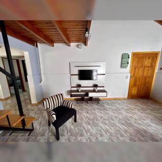 Eucalipto Tempo - Esquel - 3