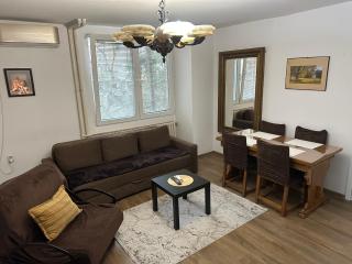 Apartment in the center of Skopje - 8