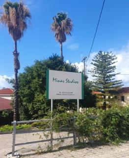 Minas Studios - Lassi - 9