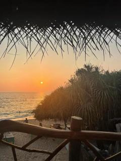 Heimathafen Hikka - 6