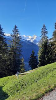 Apart Alpin - Tux - 9