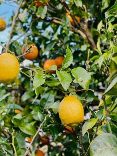 BILBO Near ático rural con terraza - 0