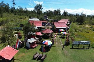 Collection O 93000 Karona Berg Homestay & Cafe - Banyuwangi - 9