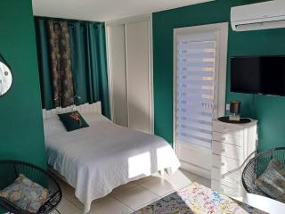 Studio Confortable avec Balcon, Clim, Wi-Fi, Proche Thermes et Centre-ville, Animaux Bienvenus - FR-1-703-118 - Amélie-les-Bains-Palalda - 7