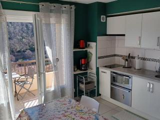 Studio Confortable avec Balcon, Clim, Wi-Fi, Proche Thermes et Centre-ville, Animaux Bienvenus - FR-1-703-118 - Amélie-les-Bains-Palalda - 2