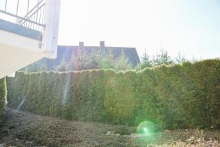 Design-Apartment Modern Times- zentral & ruhig - Schluchsee - 7