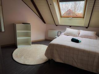 Spacieux Appartement 3 chambres Cosy - Ottmarsheim - 9