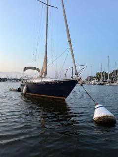 Sailboat Experience in Annapolis - Annapolis - 0