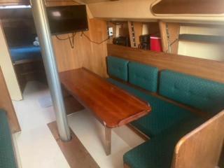 Sailboat Experience in Annapolis - Annapolis - 2