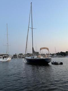 Sailboat Experience in Annapolis - Annapolis - 9