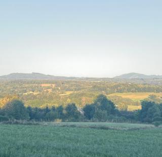 Bruyères, Myrtilles et Monédières en Corrèze, 1 - 7