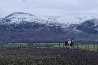 Luxury Lake District Retreat above Ennerdale - 6