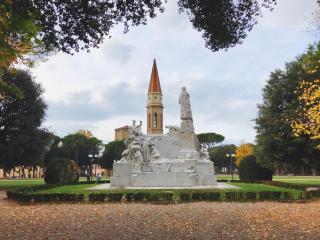 Gatto Storpio - Arezzo - 0