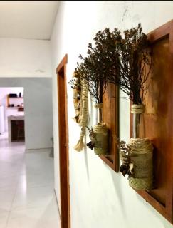 Green House - Corumbau - 1
