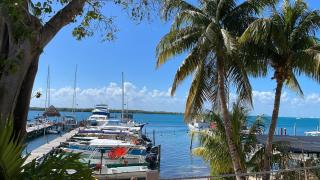 Mantarraya 2 - Isla Mujeres - 9