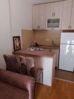 Studio Kalina - Vrnjačka Banja - 3