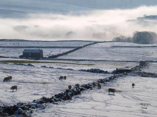 Parkin House Guest House - 2