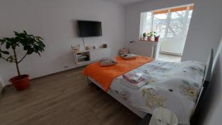 Apartament spatios in Brasov - Braşov - 0