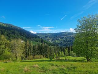 Chalet Terejo & spa - Ventron - 8