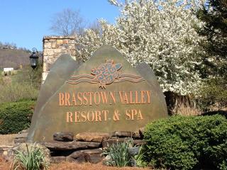 Brasstown Valley Resort & Spa - Young Harris - 3