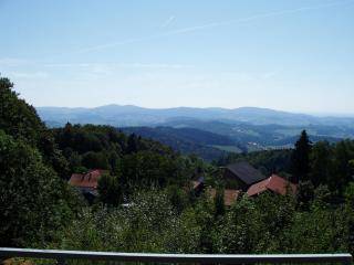 ferienwohnungen-bendler - Freyung - 6