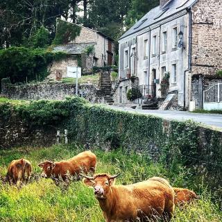 Vue Du Vallon - Bersac-sur-Rivalier - 9