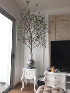 S1-05A11A-Sapphire Hạ Long - 1