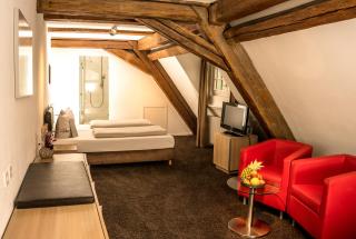 Hotel Hofgut Hohenkarpfen - Hausen ob Verena - 4