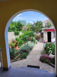 Apartmani Matan Vir - Vir - 9