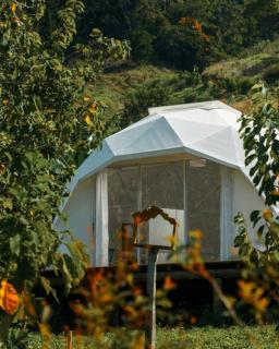 Rainbow Glamping - Abejorral - 0