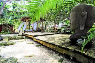 Magical Wonderkoi House in a Japanese Koi Garden - Miami - 7