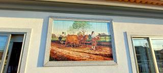 Quinta do Mateus - 6